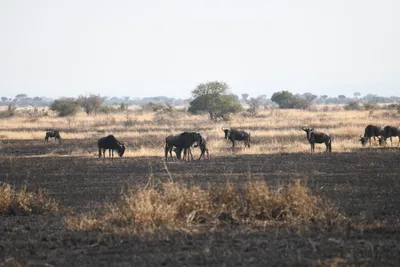 DSC_3380 (Large).JPG